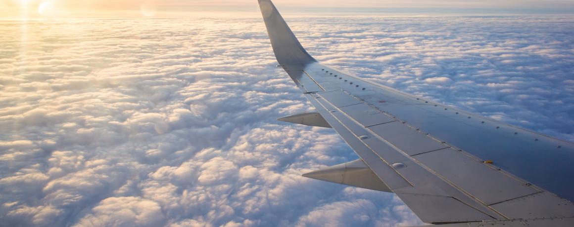 foto af flyvinge set fra vindue