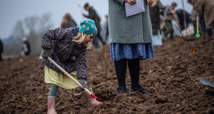 Pige planter træer med NorthSide