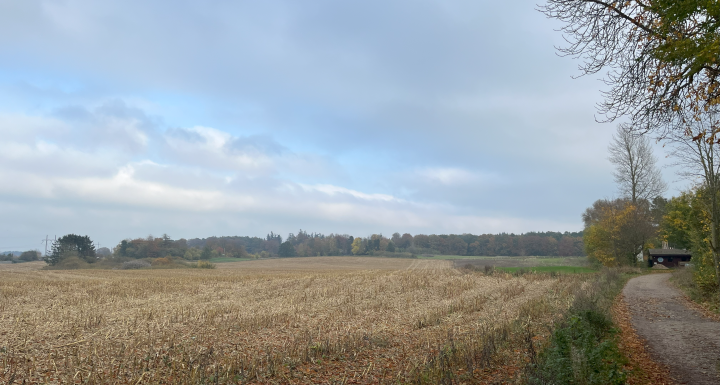 hvalsø
